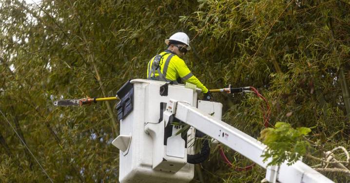 Estos municipios podrían experimentar interrupciones de servicio eléctrico hoy