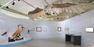 Leonardo da Vinci y el sueño de volar: cómo el genio y la ciencia se inspiraron en la naturaleza