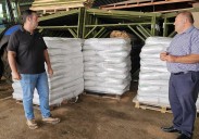 Antigua repartirá 6 toneladas de semillas de trigo