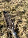 How you sample matters: Best practices for soil sample collection