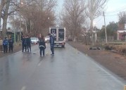 Murió atropellado: su perro se quedó a su lado y el conductor se fugó