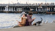 El drama turco que arrasa: la serie de 8 capítulos en Netflix que es considerada la mejor de 2025