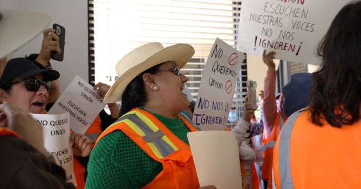 Former Wonderful worker says she paid protesters in union dispute