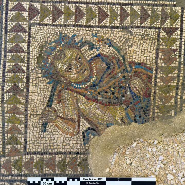Hallado un mosaico romano en Écija un mosaico romano "excepcional" de "gran valor histórico"