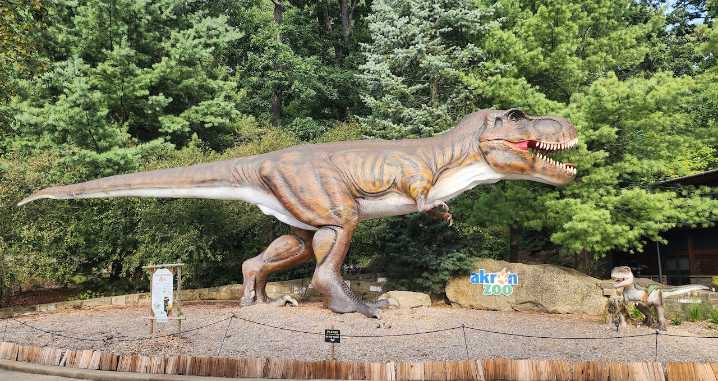 Akron Zoo Senior Safari offers discounted admission, animal encounters