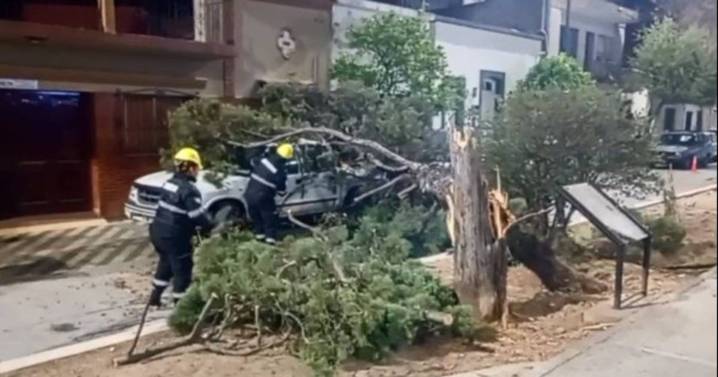 Viento, árboles caídos y cortes de luz: fuertes ráfagas sorprendieron a los salteños