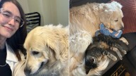Senior Dog From Indiana Had Separation Anxiety, So He Found Comfort In An Unlikely Companion