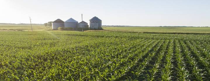 USDA Ordered to Restore Terminated Grants to Farmers, Nonprofits