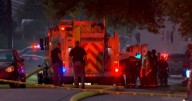 Glenwood shooting: Husband and wife dead, suspect caught