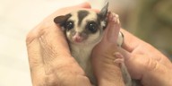 NKY church supporting London wildlife refuge recovering from tornado