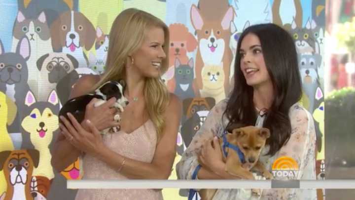 Beth Stern, Katie Lee Talk Clear the Shelters and ‘Pethood’