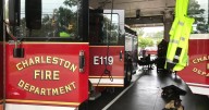 Trash fires to cars ablaze in Charleston. Suspect arrested.