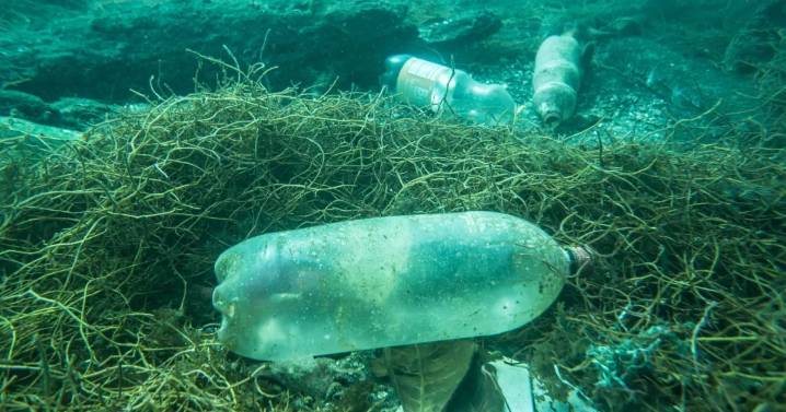 Delegaciones de 170 países se reúnen en Ginebra para tratar la contaminación por plásticos