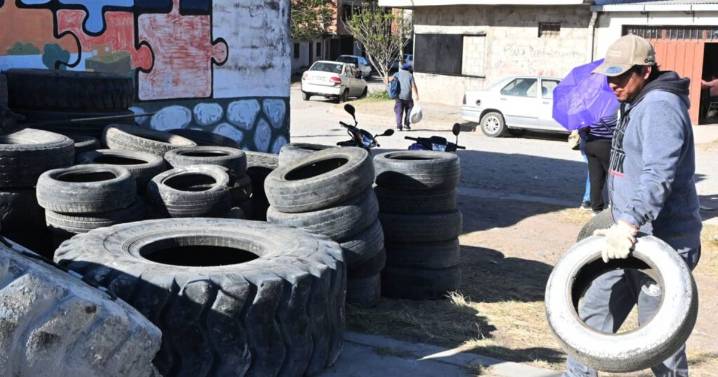 Primer Neumatón 2025 para combatir el dengue
