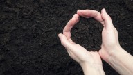 What's Really In Topsoil And Why It Matters