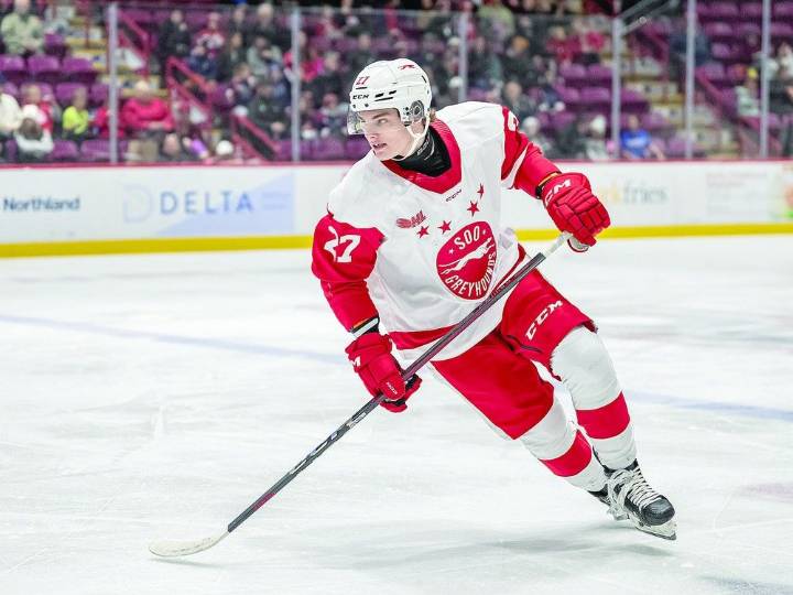 OHL announces seven-year streaming deal with FloHockey