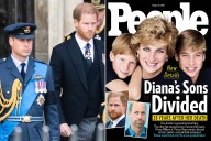 Prince William and Prince Harry's 'Profound Rift': Princess Diana Would Have Tried to Be 'Peacemaker'