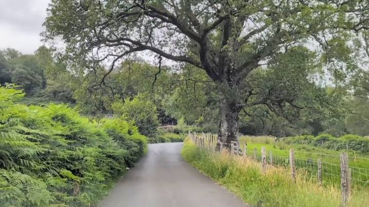 Why driving in England isn't for the faint