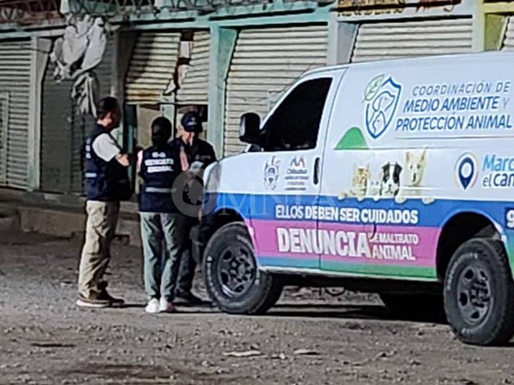 Clausuran crematorio clandestino de animales en bodega cerca de la Central de Abastos