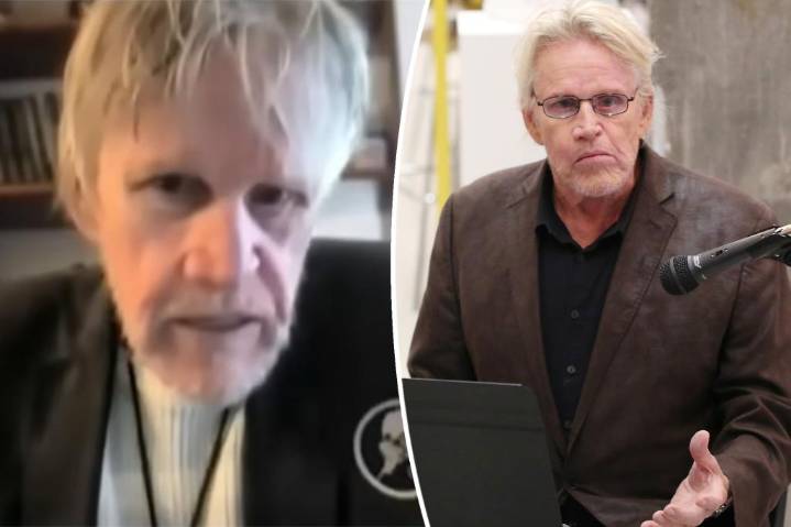 Gary Busey pleads guilty to sex crime: 'It was not an accidental touching'