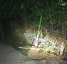 Derribó poste de alumbrado en choque, y se dio a la fuga