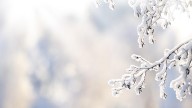 Old Farmer’s Almanac releases 2025–26 U.S. winter outlook