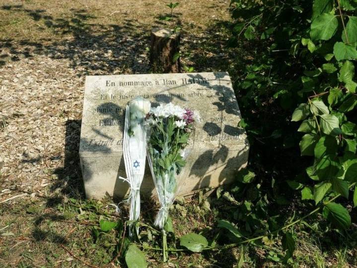 Macron vows to punish antisemitic 'hatred' after tree cut down