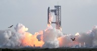 SpaceX Starship Finally Pulls Off a Successful Test Flight