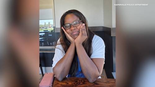 Body found at Springbrook Prairie Forest Preserve believed to be missing Naperville mother Olasinmibo 'Sinmi' Abosede, police say