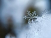 Will La Niña Blanket Illinois In Snow This Winter?