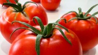 Rojo intenso, con mucho sabor y aragonés: el mejor tomate de España en 2025 es de Zaragoza
