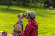 California Dog Park Closes After Mystery Illness Hits Multiple Pets