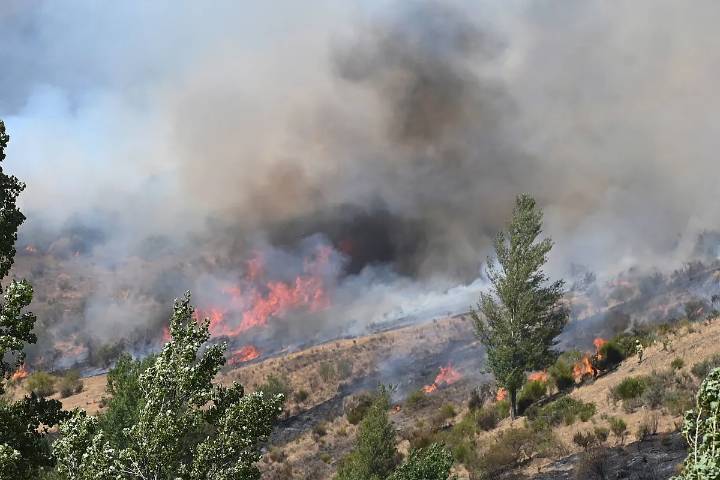 Detenido un joven de 20 años por el incendio de Berlanga del Bierzo (León) que ha obligado a desalojar la localidad
