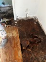 Damage assessments continue in Brainerd as residents continue to pick up pieces