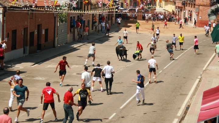 Rueda aúna sus tradiciones con el "Toro del verdejo" en el día grande de sus fiestas