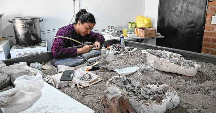 Las Ciencias de la Tierra que atraen a los expertos hacia Roca