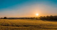 COLUMN: Early Morning Drives