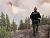 'Starting to take this personally': 'The Office' actor flees home, again, amid Oregon wildfire