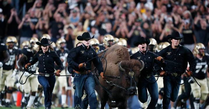 Colorado’s Ralphie VI retires from field, won’t appear at Georgia Tech game