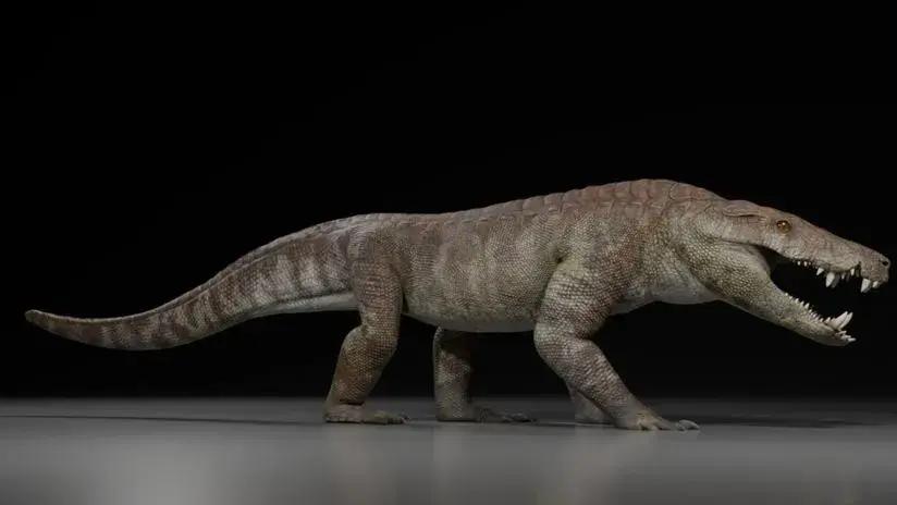 Descubren en la Patagonia nuevo hipercarnívoro del Cretácico, un feroz depredador pariente de los cocodrilos