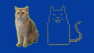Physicists Have Created The Smallest Cat Video In The World