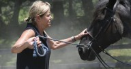 Virginia Thoroughbred Project provides aftercare to racehorses they don't always get