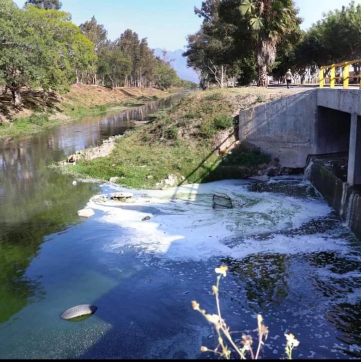 Río Mololoa y Laguna de Mora, están muy contaminadas: Ejidos
