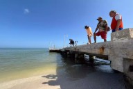 Crisis por marea roja en Sisal: Pescadores temen rezago económico de meses
