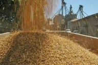 Sector del arroz espera cubrir 76 % de la demanda nacional