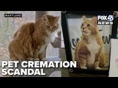 Catonsville pet cremation scandal: couple charged with theft and fraud