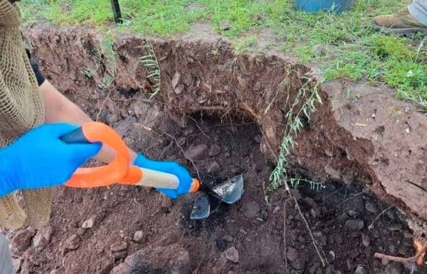 Localizan restos óseos y dientes humanos en rastreo en localidad de Carichí