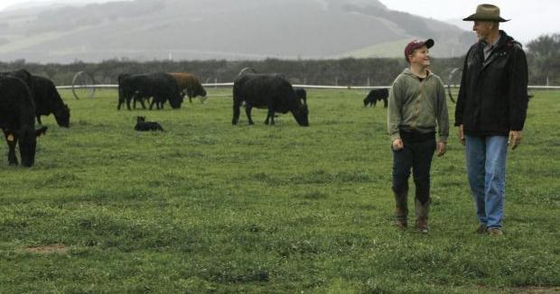 CEC launches free program for ag community