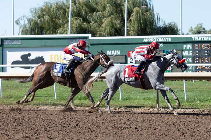Government Tax on Horse Racing Betting Sees Protest From Organizers in Upsetting Fashion