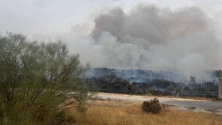19 dotaciones de bomberos trabajan en un incendio de pasto en Colmenar Viejo